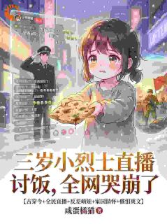《三岁小烈士直播讨饭，全网哭崩了》小说章节列表精彩试读 小草王春花小说阅读