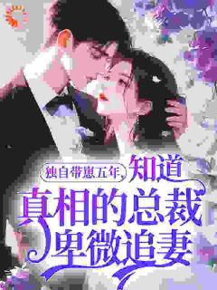 《林安南霍宴珩》小说大结局免费试读 独自带崽五年，知道真相的总裁卑微追妻小说全文