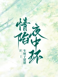 情陷夜中环by车厘子猪猪无防盗章在线阅读