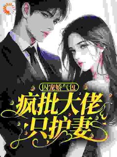 《娇软哭包一回眸，偏执璟爷醉上头》小说大结局在线阅读 秦念安严默辰第3章小说全文