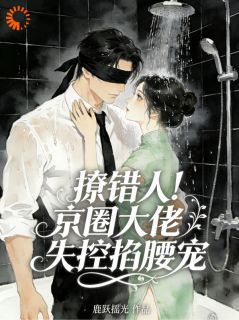 阮宁谢晏辞撩错人！京圈大佬失控掐腰宠 by鹿跃摇光完整在线阅读