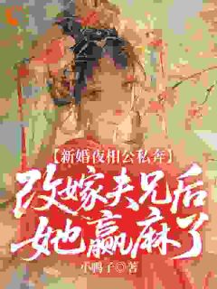 《薛明玉陆明璋》新婚夜相公私奔，改嫁夫兄后她赢麻了章节免费阅读