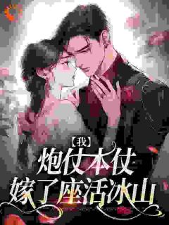 我，炮仗本仗，嫁了座活冰山林初霁陆云川小说免费试读