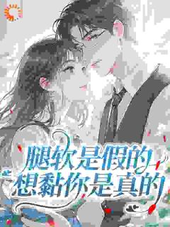 《当头昏遇上二婚》小说大结局精彩试读 沈宁雪顾怀瑾小说全文