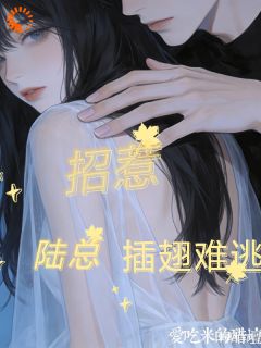 阮柔陆云深招惹陆总，插翅难逃小说在线阅读全文章节目录完整版