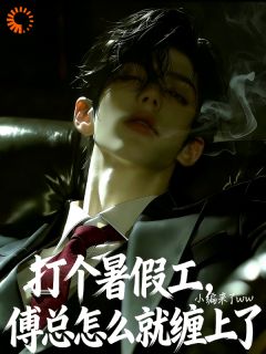 就打个暑假工，傅总怎么就缠上了全文目录 苏晚傅斯年免费章节阅读