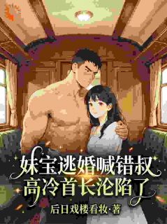 苏瓷霍砚山主角妹宝逃婚喊错叔，高冷首长沦陷了全文章节免费试读
