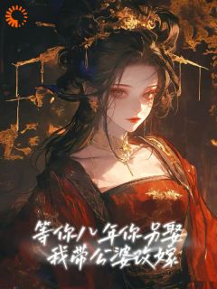 负心汉归来，我把他全家带走了张安禾林翊初小说结局完整全文