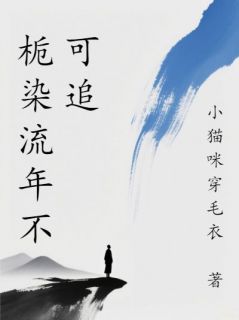 《林以栀沈景初》小说全文精彩试读 《林以栀沈景初》最新章节目录