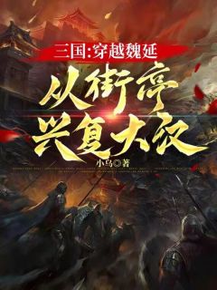 《魏延张郃》小说免费阅读  第17章 第一次北伐成了！