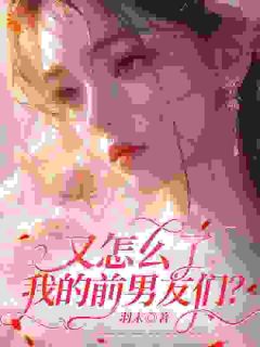 又怎么了我的前男友们？完整版全文阅读 顾冉陆向北 大结局
