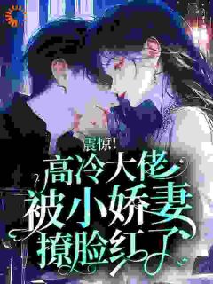 《姜晚宁傅霖》大结局精彩阅读 《姜晚宁傅霖》最新章节列表