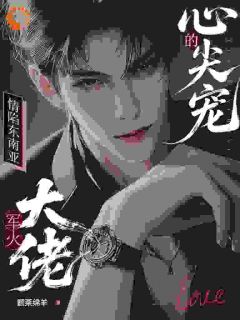 《诗妮莎维克托》情陷东南亚，军火大佬的心尖宠完结版精彩试读