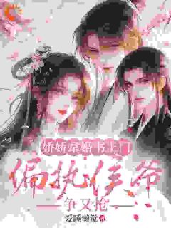 宋斯年陆清窈完整目录在线阅读 (履约成婚，开局先来真假世子爷？) 大结局无弹窗