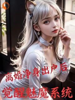 被弃家庭主夫，觉醒系统逆袭成大佬免费阅读 叶秋林婉儿在线阅读