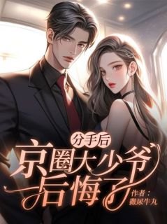 宋嘉傅闻声全文免费试读 分手后，京圈大少爷后悔了小说全本无弹窗