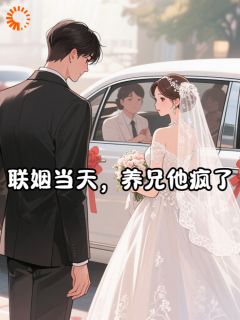 【爆款新书】联姻当天，养兄他疯了 云卿雾季司冥小说全文章节免费试读