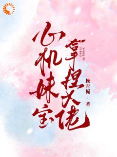 《替嫁给他，是我藏了多年的心愿》沈葭叶瑾年章节在线试读 第1章