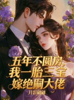 《五年不圆房，我一胎三宝嫁绝嗣大佬》大结局免费阅读  第8章 爸爸是坏人