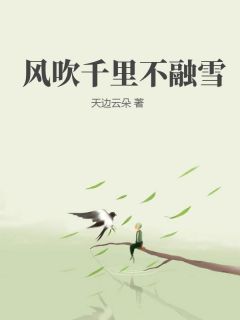 精品热文《风吹千里不融雪》陆宴林姜馥雪小说全文完整版在线阅读无删减