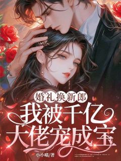 婚礼换新郎，我被千亿大佬宠成宝婚礼换新郎，我被千亿大佬宠成宝沈念一秦既明by小小喵完整在线阅读