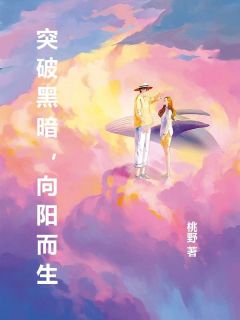 《突破黑暗，向阳而生》小说完结版免费阅读 陆锦辰洛梓娇小说全文
