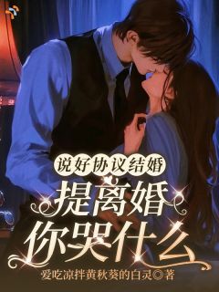 《说好协议结婚，提离婚你哭什么》小说全文精彩试读 《说好协议结婚，提离婚你哭什么》最新章节目录