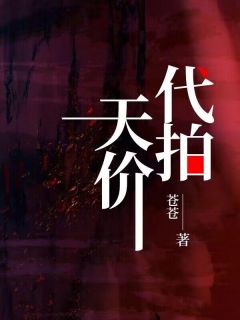 天价代拍全文在线阅读 李生墨小说全本无弹窗