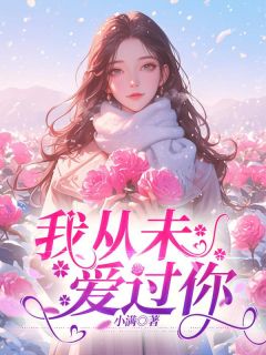 《我从未爱过你》江晚星段祈年全文精彩试读