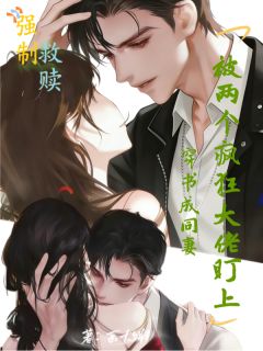 《穿书成同妻，被两个疯狂大佬盯上》小说全文免费试读 《穿书成同妻，被两个疯狂大佬盯上》最新章节目录
