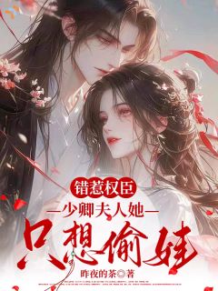 宋南之陆诀全章节免费阅读 主角错惹权臣，少卿夫人她只想偷娃完结版