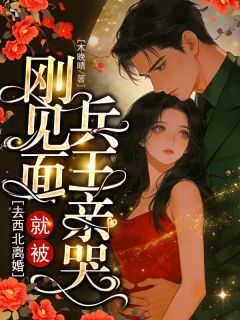 去西北离婚，刚见面就被兵王亲哭小说 舒雨陆寒骁(去西北离婚，刚见面就被兵王亲哭)小说阅读