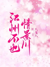 《陈欢尔顾承泽宋景川》小说免费阅读 江州不也情景川小说大结局在线阅读