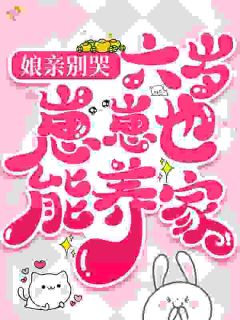 娘亲别哭，六岁崽崽也能养家！林念念林建国小说精彩内容在线阅读