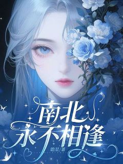 苏楠裴城北小说全集免费在线阅读（南北永不相逢）