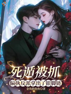 沈星冉傅彦哲小说全文精彩章节免费试读（死遁被抓，偏执反派拿出了银脚链）