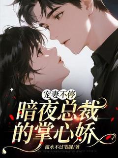 苏伊人夜铭琛大结局在线阅读 《宠妻不停：暗夜总裁的掌心娇》免费阅读