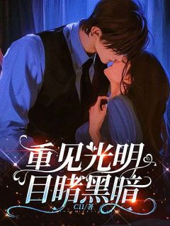主角是南意宋于修的小说在哪看 《重见光明，目睹黑暗》小说阅读入口