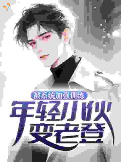 陈阳苏婉清全文免费阅读 被系统加强训练，年轻小伙变老登小说大结局无弹窗