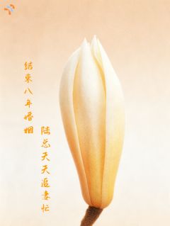 《陆竟衡徐慢》小说全集免费在线阅读（离婚证摸着发烫，我才知道弄丢了她）
