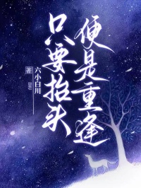 只要抬头，便是重逢小说最新章节免费阅读（完整版未删节）