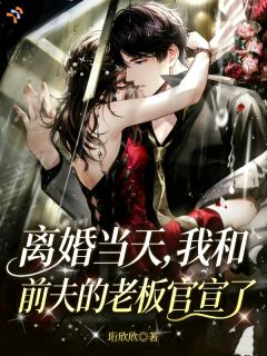 《离婚当天，我和前夫的老板官宣了》完结版在线试读 《离婚当天，我和前夫的老板官宣了》最新章节目录