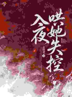 入夜，哄她失控小说全文精彩章节在线阅读（叶辞陆沉舟）