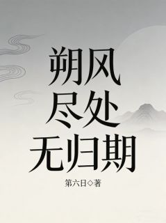 《朔风尽处无归期》小说主角陆靳辰温思然全文章节免费免费试读