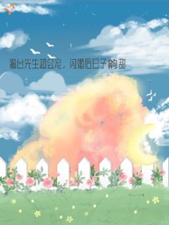 澹台建民南雨澹台先生超会宠，闪婚后日子齁甜全文免费试读
