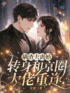 《颜宁傅砚修》瞒渣夫离婚，转身和京圈大佬重逢小说全本在线阅读