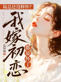 《陆总还没释怀？我嫁初恋都显怀了》小说全文免费试读 《陆总还没释怀？我嫁初恋都显怀了》最新章节列表