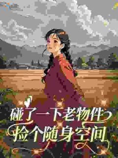 碰了一下老物件，捡个随身空间小说最新章节免费阅读（精彩章节未删节）