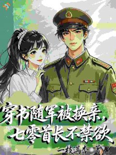 《林晓沈时》小说章节精彩阅读 穿书随军被换亲，七零首长不禁欲小说全文
