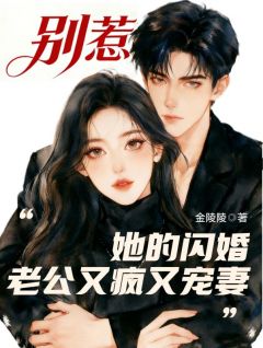 《江清辞宋淮》小说章节列表精彩阅读 别惹，她的闪婚老公又疯又宠妻小说阅读